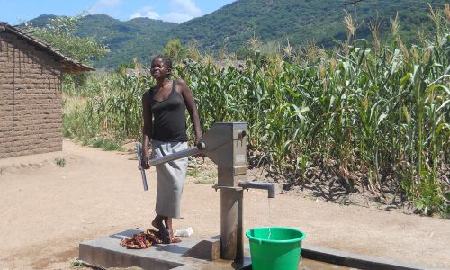 Frau pumpt sauberes Wasser